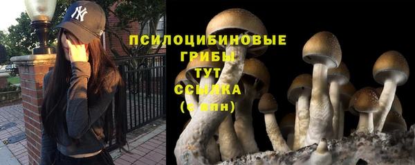 сатива Балахна
