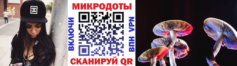 Псилоцибиновые грибы GOLDEN TEACHER  хочу   блэк спрут как войти  Николаевск-на-Амуре 